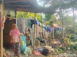 Rumah Hancur gegara Gempa, Ida Tinggal di Dapur Beratap Seng