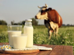 Hindari Konsumsi 5 Makanan Ini Agar Wajah Tak Tampak Bengkak