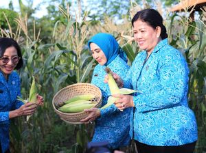 Tri Tito Karnavian Puji Kreativitas Program PKK Klungkung