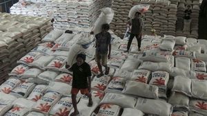 Penampakan Stok Beras Bulog buat Idul Adha