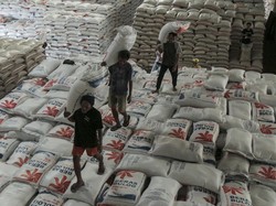 Wanti-wanti Mendagri soal Aksi Borong Beras Cakada Picu Kelangkaan Beras