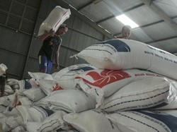 Stok Beras di Era Prabowo Disebut Terbesar Sepanjang Sejarah