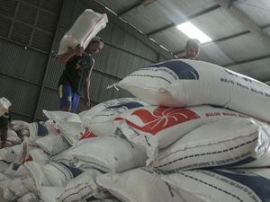 Stok Beras di Sumsel Babel Capai 54.280 Ton, Aman hingga Maret 2025 Stok Beras di Sumsel Babel Capai 54.280 Ton, Aman hingga Maret 2025