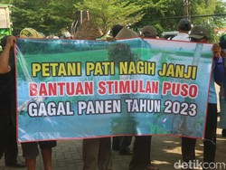 Petani Pati Korban Banjir 2023 Sambat Bantuan Puso Belum Cair