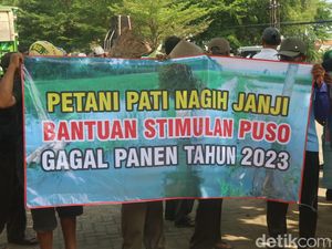 Petani Pati Korban Banjir 2023 Sambat Bantuan Puso Belum Cair Petani Pati Korban Banjir 2023 Sambat Bantuan Puso Belum Cair