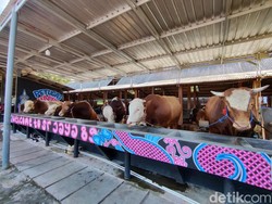 Gelar Salat Id Hari Ini tapi Potong Kurban Besok, MTA Kulon Progo: Biar Kompak