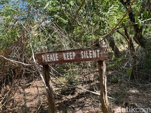 Polemik Penutupan TN Komodo: Warga Menolak-Pariwisata Labuan Bajo Bisa Lumpuh