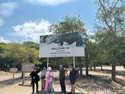 Pulau Komodo Sungguh Ada, Bukan Kisah di Dongeng Belaka