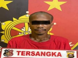 Pria di Muba Ditangkap Usai Kepergok Curi Sawit, 1 Kabur