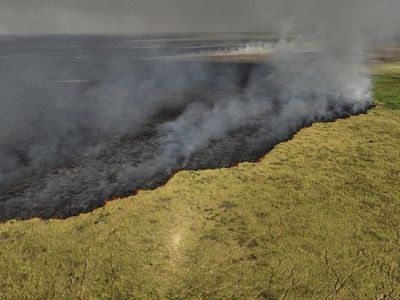Kebakaran Lahan Basah Tropis Terbesar di Dunia Makin Meluas
