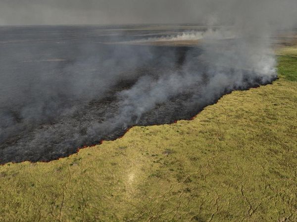Kebakaran Lahan Basah Tropis Terbesar di Dunia Makin Meluas