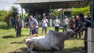 Jelang Idul Adha, Puskeswan Gelar Pelatihan Penyembelihan Hewan Kurban