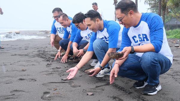 Pembinaan dan Edukasi Dukung Konservasi Penyu di Bali