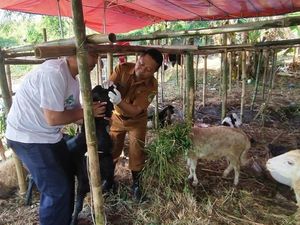 Distan Kota Pasuruan Sidak untuk Pastikan Hewan Kurban Bebas Penyakit