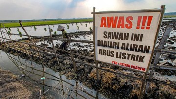 Petani Bojonegoro Kendalikan Hama Tikus Pakai Listrik