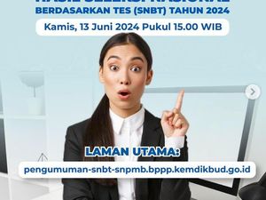Kapan Pengumuman Hasil SNBT 2024? Ini Jadwal, Link, dan Cara Ceknya Kapan Pengumuman Hasil SNBT 2024? Ini Jadwal, Link, dan Cara Ceknya