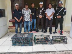 BKSDA Maluku Sita 44 Burung Dilindungi Diduga Hasil Selundupan, Pemilik Kabur