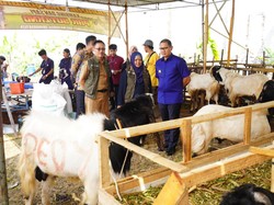Sidak Hewan Kurban, Pemkot Kota Batu Beri Label ke Ternak Sehat