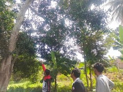 Pria Meninggal gegara Jatuh dari Pohon Saat Selamatkan Ponakan Mau Bunuh Diri