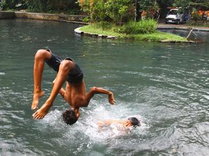 Potret Kolam Mata Air di Tengah Hutan Bambu Kawasan Malang Potret Kolam Mata Air di Tengah Hutan Bambu Kawasan Malang