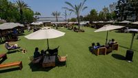 Santai Sejenak Bersama Anabul di Klub Khusus Anjing di Pantai California