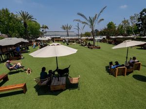 Santai Sejenak Bersama Anabul di Klub Khusus Anjing di Pantai California