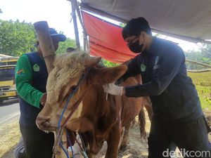Doa untuk Shohibul Qurban serta Tata Cara Penyembelihan Sesuai Syariat Islam Doa untuk Shohibul Qurban serta Tata Cara Penyembelihan Sesuai Syariat Islam