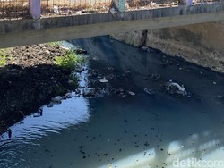 Kondisi Terkini Sungai Simo Gunung Barat Surabaya yang Airnya Hijau Tosca