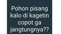 Begini Jadinya Kalau Bapak-bapak Main Internet, Kocak Abis!
