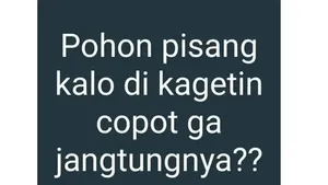 Begini Jadinya Kalau Bapak-bapak Main Internet, Kocak Abis!