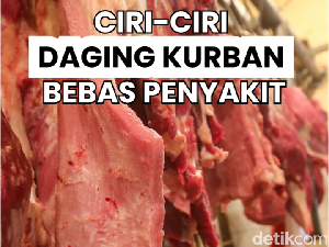 Kenali Daging Kurban yang Aman Dikonsumsi