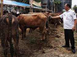 Syarat Menyembelih Hewan Kurban yang Sah
