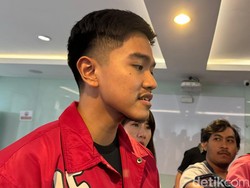 Nama Kaesang Tak Masuk Opsi Cagub-Cawagub PDIP di Pilkada Jakarta