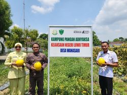 Mengenal Jaksa Yadyn, Penggagas Kampung Pangan Adhyaksa di Sulsel