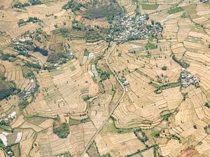 Lombok Timur Siaga Kekeringan, Sawah-sawah Mengering!