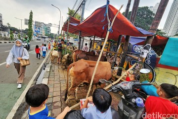 Pedagang Jadikan Trotoar di Tanah Abang untuk Jualan Hewan Kurban