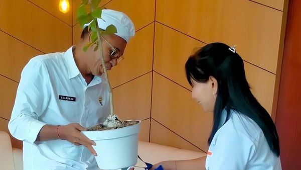 Aksi Menanam Pohon Peringati Hari Lingkungan Hidup