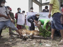 Hakikat Kurban, Memantik Kesalehan-Bermakna Sosial