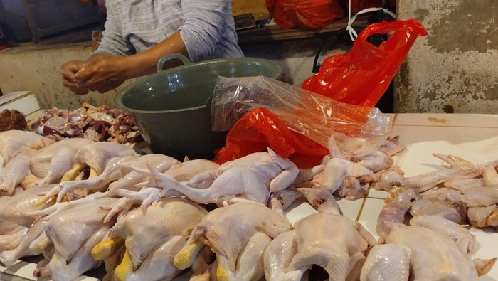 Harga Daging Ayam Bisa Tembus Rp 60 Ribu/Kg Jelang Idul Adha