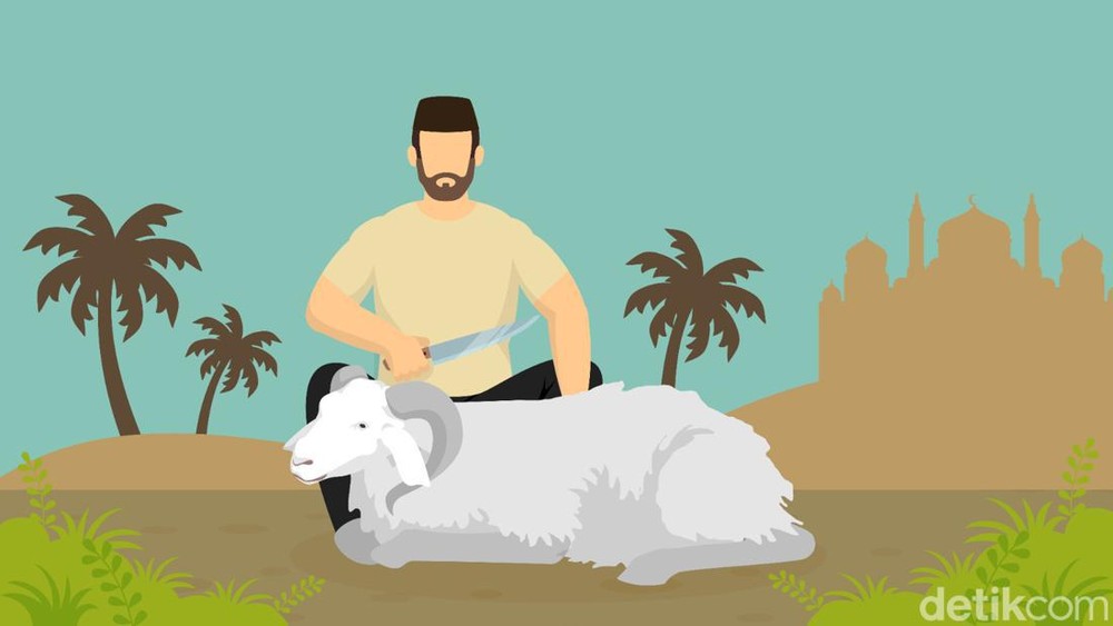 Syarat Sah Hewan Aqiqah dan Qurban: Panduan Lengkap Ibadah Penyembelihan