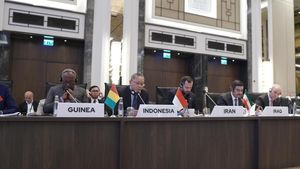 Mendag Zulhas Ajak Delegasi OKI Wujudkan Perdamaian Palestina