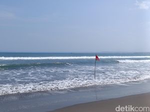 Bertambah Lagi Lumba-lumba yang Mati Terdampar di Pantai Pangandaran Bertambah Lagi Lumba-lumba yang Mati Terdampar di Pantai Pangandaran