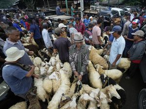 Sejarah Idul Adha dan Perayaannya di Berbagai Daerah Indonesia Sejarah Idul Adha dan Perayaannya di Berbagai Daerah Indonesia