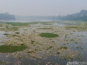 Mulai Menghilangnya Pulau Sampah di Sungai Citarum KBB