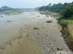 Dugaan Sumber Sampah yang Membentuk Pulau di Sungai Citarum KBB