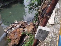 Tebingan di Ciomas Bogor Longsor, Akses Jalan Utama Warga Terancam Putus