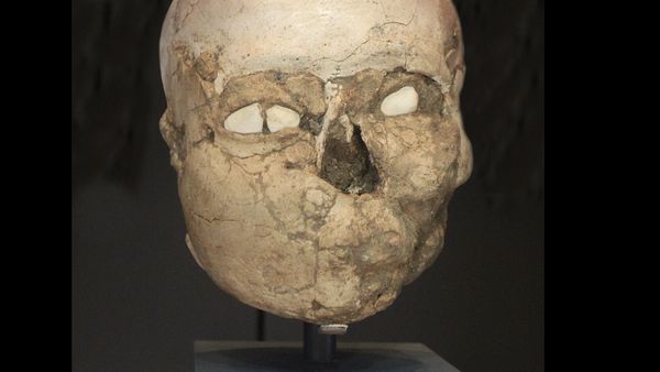 10 Tengkorak Kuno yang Punya Fakta Mengejutkan