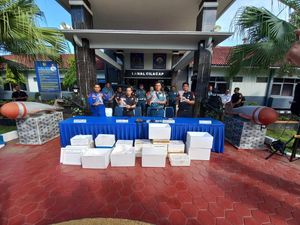 Disergap di Cilacap, Upaya Penyelundupan Benih Lobster Rp 1,6 M Digagalkan Disergap di Cilacap, Upaya Penyelundupan Benih Lobster Rp 1,6 M Digagalkan