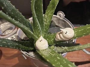 10 Penyajian Makanan yang Bikin Geleng Kepala karena Terlalu Kreatif