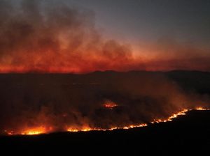 Ngeri! Kebakaran Lahan Basah Terbesar Dunia Meluas 10 Kali Lipat